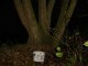 Thumbs/tn_DSC03970.jpg
