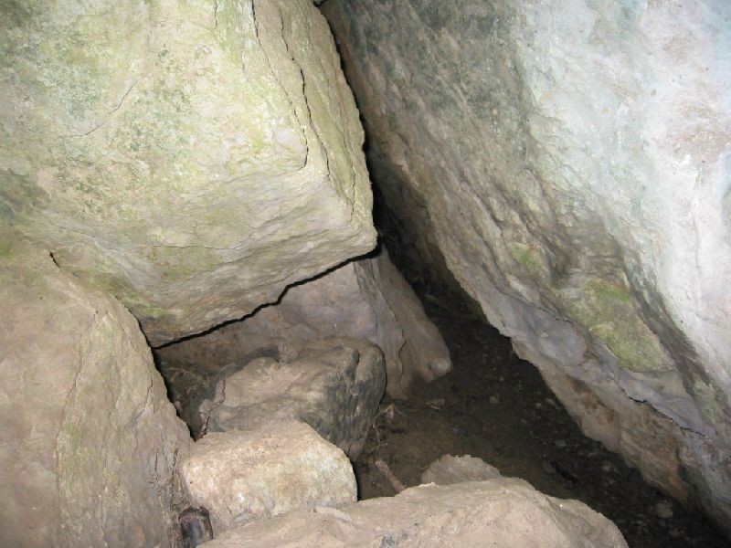 ../Images/IMG_0192.jpg