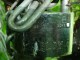 Thumbs/tn_DSC01150.jpg
