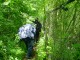 Thumbs/tn_DSC01151.jpg