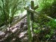 Thumbs/tn_DSC01158.jpg