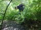 Thumbs/tn_DSC01164.jpg