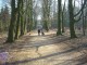 Thumbs/tn_DSC05229.jpg