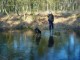 Thumbs/tn_DSC05248.jpg