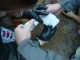 Thumbs/tn_DSC05255.jpg