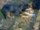 Thumbs/tn_DSC05257.jpg