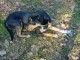 Thumbs/tn_DSC05258.jpg