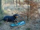 Thumbs/tn_DSC05265.jpg