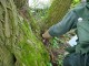 Thumbs/tn_DSC00674.jpg