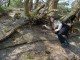 Thumbs/tn_DSC00680.jpg