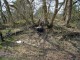Thumbs/tn_DSC00683.jpg