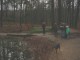 Thumbs/tn_DSC04812.jpg
