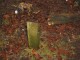 Thumbs/tn_DSC04818.jpg