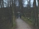 Thumbs/tn_DSC04829.jpg