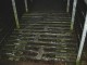 Thumbs/tn_DSC04839.jpg
