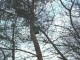 Thumbs/tn_DSC08348.jpg