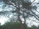 Thumbs/tn_DSC08351.jpg