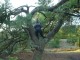 Thumbs/tn_DSC08356.jpg