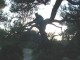 Thumbs/tn_DSC08357.jpg