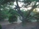Thumbs/tn_DSC08358.jpg