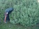 Thumbs/tn_DSC08361.jpg