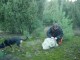 Thumbs/tn_DSC08364.jpg