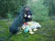 Thumbs/tn_DSC08368.jpg