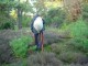Thumbs/tn_DSC08370.jpg