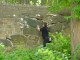 Thumbs/tn_DSC02687.jpg