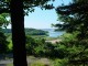 Thumbs/tn_DSC02637.jpg