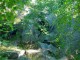 Thumbs/tn_DSC02639.jpg