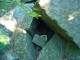 Thumbs/tn_DSC02642.jpg
