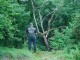 Thumbs/tn_DSC02505.jpg