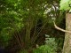 Thumbs/tn_DSC02507.jpg