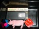 Thumbs/tn_DSC02510.jpg