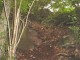 Thumbs/tn_DSC02511.jpg