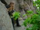 Thumbs/tn_DSC02555.jpg