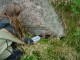 Thumbs/tn_DSC02557.jpg