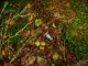 Thumbs/tn_DSC02567.jpg