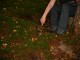 Thumbs/tn_DSC02568.jpg