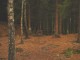 Thumbs/tn_DSC02569.jpg
