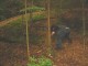 Thumbs/tn_DSC02572.jpg