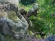 Thumbs/tn_DSC02611.jpg