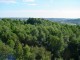Thumbs/tn_DSC02616.jpg