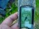 Thumbs/tn_DSC02622.jpg