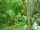 Thumbs/tn_DSC02586.jpg