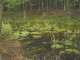 Thumbs/tn_DSC02580.jpg