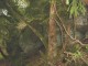 Thumbs/tn_DSC02582.jpg