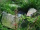 Thumbs/tn_DSC02337.jpg