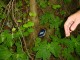 Thumbs/tn_DSC02341.jpg